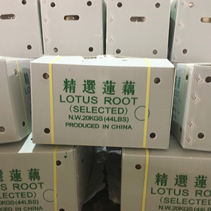 Sen Rễ Trung Quốc Sản Xuất - Product Image 2