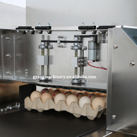 Automatische Eieretiketteermachine Eierdatum Printer Eierdrukmachine