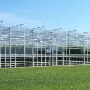 Invernadero Agrícola Multi-Span con Cubierta de Vidrio Grande, Ventilación de Alta Eficiencia, Estructura para Cultivo Hidropónico - Product Image 5