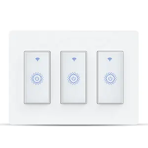 Spraakbediening Draadloze Timer Switch Zigbee Domotica Intelligente Switch Tuya Wifi Smart Switch