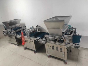 Hoàn toàn tự động khay cây giống trồng khay seeder máy hạt giống rau khay seeder để bán - Product Image 2