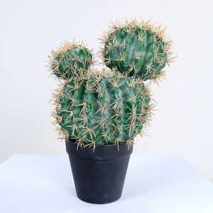 Plante artificielle en plastique, <span class=keywords><strong>cactus</strong></span>, plante paysagère, ornement de jardin pour la décoration intérieure, bureau, maison, plantes artificielles - Product Image 1