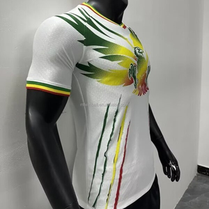 Camiseta de Fútbol de Ghana, Uniforme de Fútbol al por Mayor, Versión Jugador Local, Camiseta de Fútbol Ghana City - Product Image 4