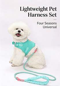 Vest-Style Anti-Choke Dog <b>Harness</b> & Leash - Comfortable Walking Rope For Corgi Teddy Small Breeds - Product Image 3