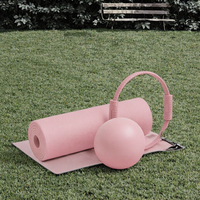 Kit d'exercices de Pilates rose, ensemble de tapis de yoga avec bande de résistance, rouleau en mousse, ballon de stabilité, blocs, entraînement de fitness