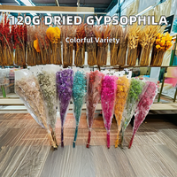 120g Buket Gypsophila Alami (Baby's Breath) Grosir Pabrik Bunga Kering Awet untuk Pernikahan, Natal, Wisuda
