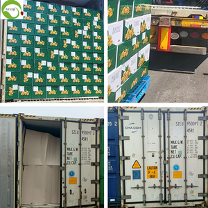 วอลนัทเปลือกเปลือยคุณภาพเยี่ยมจากยูนนาน บรรจุสุญญากาศ 10 กก. - Product Image 6