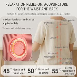 Alat Terapi Moxibustion Tech Love untuk Meredakan Nyeri Punggung, Penyangga Lumbal, Perangkat Stimulasi Titik Akupuntur - Product Image 4