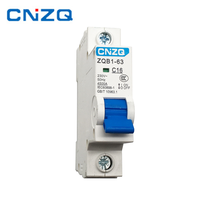 Disyuntor en miniatura 1P 2P 3P 4P 80A 100A 125A Corriente nominal 25A LI Protección Material de cobre Tipo RCBO