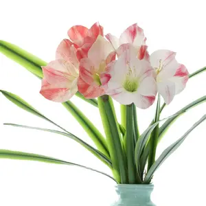 L06714 Fleur de lys kaffir décoratif Simulation de fleurs Décoration intérieure Fleurs artificielles Clivia miniata