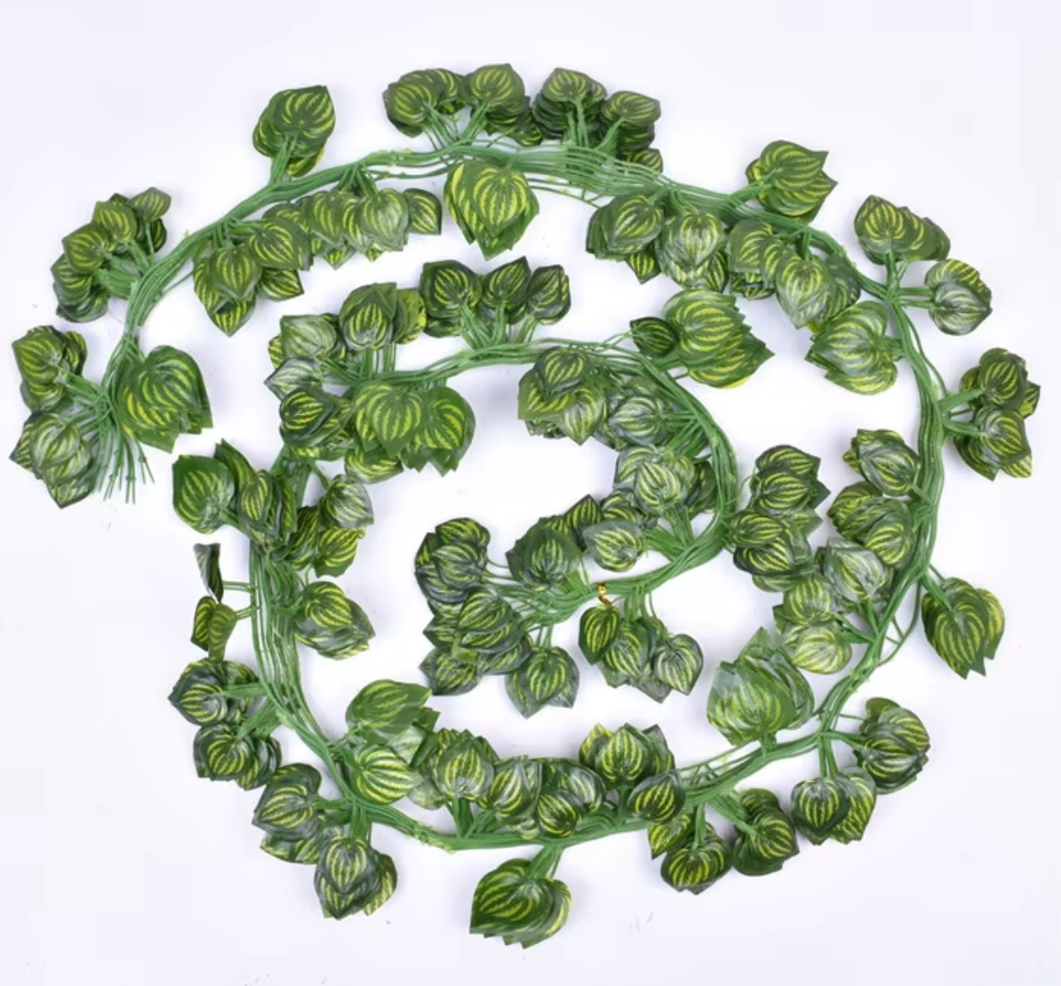 green 81 pieces of watermelon, one piece about 2.1m