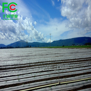 ผ้าฟรอสต์ป้องกันสำหรับพืช,ผ้าคลุมพืชแถวลอยผ้าห่มฟรอสต์ผ้าคลุมพืชสวน - Product Image 5