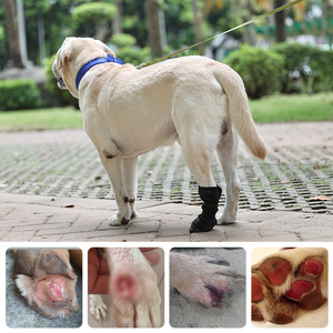 Stivaletti antiscivolo da fabbrica per animali domestici scarpe e calzini caldi in gomma Sole antiscivolo che mantengono le zampe dei cani asciutte e pulite - Product Image 5