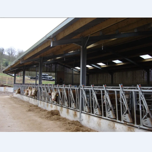 Edificio De Granja Lechera Con Estructura De Acero Prefabricada Batiment De Ferme Laitiere En Acero - Product Image 2