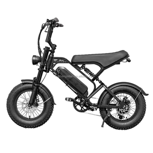 Véhicule électrique V20 Mini Edition 500 watts 48 volts avec pneus larges de 16 pouces, norme européenne, disponible en stock depuis les entrepôts européens - Product Image 4