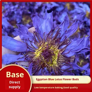 2025 <span class=keywords><strong>di</strong></span> bellezza del giglio <span class=keywords><strong>di</strong></span> acqua egizio biologico sfusa tè fresco <span class=keywords><strong>blu</strong></span> fiore essiccato <span class=keywords><strong>di</strong></span> <span class=keywords><strong>loto</strong></span> crudo speciale sapore dimagrante bustina <span class=keywords><strong>di</strong></span> tè sfusa - Product Image 3
