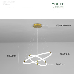 <span class=keywords><strong>2025</strong></span> nhôm Led nhà ở vòng trắng hiện đại nhà bếp ánh sáng mặt dây chuyền phụ kiện cho resturan - Product Image 5
