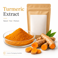 Poudre d'extrait de curcuma LongBio 95% curcumine, extrait de racine de Curcuma Longa pour compléments alimentaires et boissons, OEM ODM