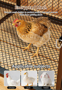Vente en gros de grandes cages à poulets en métal de 100 cm, 130 cm, 150 cm, pour usage domestique, élevage, nichoirs pour volailles, canards, oies, poulets - Product Image 5