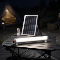 Lampu LED Tenaga Surya Tahan Air IP65 untuk Luar Ruangan, Model Tabung dengan Panel Terpisah, Dapat Diredupkan dengan Remote Control, 30W 60W untuk Taman dan Jalan