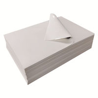 Autocollants de coquille d'œuf en vinyle blanc destructible hologramme PVC argent or rouleaux de matières premières de taille personnalisée étanche