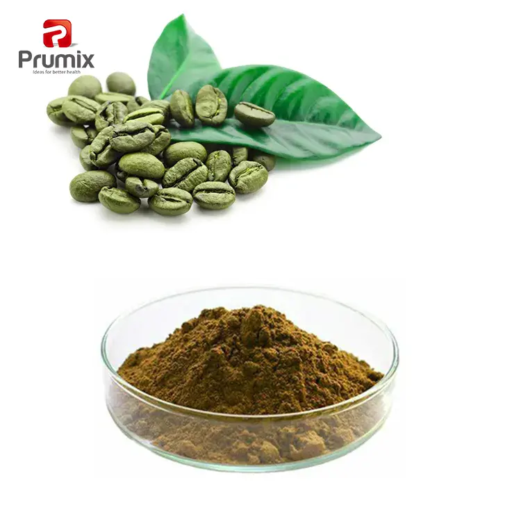 Green Coffee Bean Extract 2023 New Hot Selling Natural Weight Loss Raw Material Green Coffee Bean Extract Powder