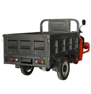 Трехколесный электрический трехколесный велосипед с большой грузоподъемностью для перевозки грузов - Product Image 4