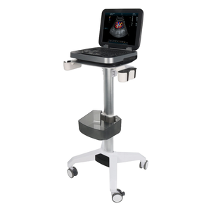 Alle Moderne Mobiele Medische Computer Trolley Werkstation Aluminium Legering Ziekenhuis School Hotel Gebruik Woonkamer Vesa Echografie - Product Image 2