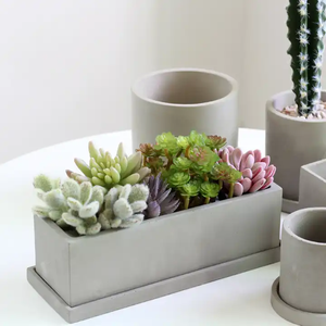 Jardinière succulente rectangulaire en ciment mat avec plateau pour pot de <span class=keywords><strong>fleur</strong></span> en béton bonsaï d'herbes conteneur avec drainage - Product Image 3