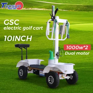 Golf Trolley 4 Wheel Golf Cart Electric Scooter