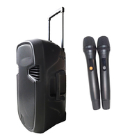 Système de sonorisation PA professionnel rechargeable en plastique 250W 2 voies, enceintes de fête puissantes 15 pouces, audio BT TWS avec ensemble de microphones UHF