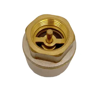 BOYATU Brass spring check Valve 1/2"-4"China Supplier water check valve low pressure medium high pressure air compressor