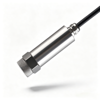 Transmetteur de vibrations triaxiales haute fréquence OEM, paramètres complets, RS485, 10-5000Hz, acier inoxydable 304L, IP65, boîte de vitesses moteur