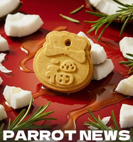 Biscuits pour oiseaux, friandises récompensantes pour calopsites, à base de céréales pour le nettoyage du bec et à mâcher interactivement, personnalisables
