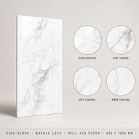 Carrelage en porcelaine brillant effet marbre blanc Carrara veiné, 600x1200 mm, poli, pour sol et mur.
