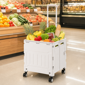 Storage Box <b>Luggage</b> Carriers Foldable Shopping <b>Trolley</b> Case Portable Smart Cart 4 Wheels Steel Plastic Durable Folding Rectangle - Product Image 5