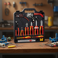Kit d'outils 14 pièces pour ensemble d'extension Hand Electro 2 avec acier au chrome-vanadium, garantie 3 ans, fabriqué en Allemagne