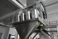 Machine verticale automatique pour bonbons famille Pack dosage linéaire remplissage scellage rouleau film plastique oreiller sac Machine d'emballage
