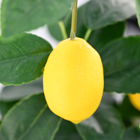 Arbre artificiel de citronnier de 60 cm avec fruits, idéal pour la décoration de la maison et du bureau, cadeau de pendaison de crémaillère et décoration de fête