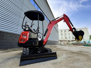 Mini Excavadora de Lujo para Jardín, Excavadora Pequeña con Envío Gratuito, Accesorios para Mini Excavadora, Cucharones - Product Image 1