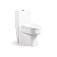 Vente en gros de matériel sanitaire Armoire de salle de bain en céramique monobloc à économie d'eau Toilette à double chasse d'eau Forme de cuvette carrée Drainage en S