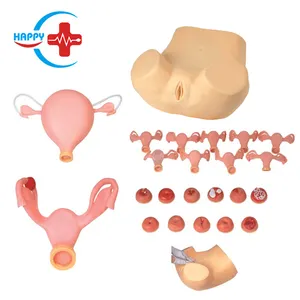 HC-S305 Advanced anatomy uterus ovary model/Medical pelvic cavity gynecology model