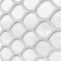 Grillage en plastique pour sol de cage à poulets de chair – Équipement d'élevage avicole