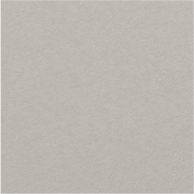 ขน FG-09สีเทา15-1305 TPG