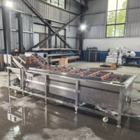 Volledig automatische roestvrijstalen fruit- en groentewasmachine met motor voor sojabonen en maïs, capaciteit 100-500 kg/uur