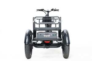 มอเตอร์ไซค์ทรงพลัง 48v 2500w 3 ล้อ สำหรับวิ่งบนทางดินและทางน้ำ รถสามล้อไฟฟ้า พาวเวอร์ไตรค์ - Product Image 6