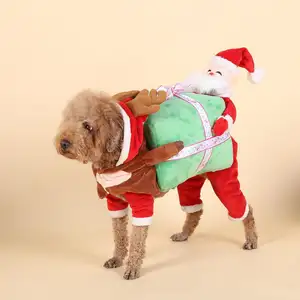 Huisdieren Carrying Pompoenen Veranderen In Honden Schurken Holding Pompoenen Kleding Voor Kerst