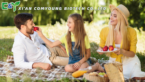 ผงสารสกัดจากเปลือก <span class=keywords><strong>Sassafras</strong></span> - Product Image 6