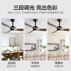 <b>Ceiling</b> <b>Fan</b> Light Fixed Blade LED 50000 Hours 5 Year Warranty For Living Room - Product Image 4