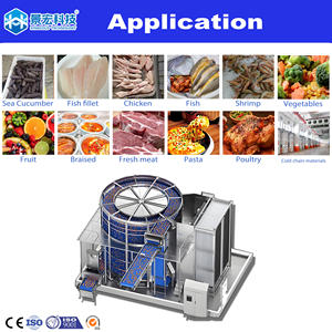 Congelador Espiral IQF de Alta Eficiencia, Congelación Rápida, Espiral Simple o Doble Opcional, Congelador de Congelación Rápida - Product Image 2